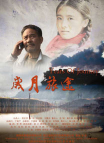婷婷的五月